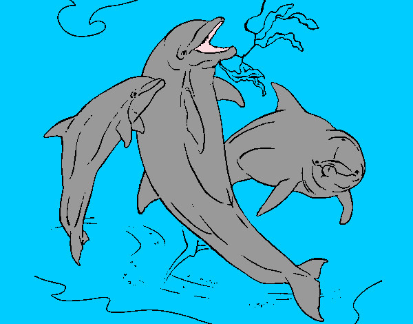 Dibuix Dofins jugant pintat per eudald