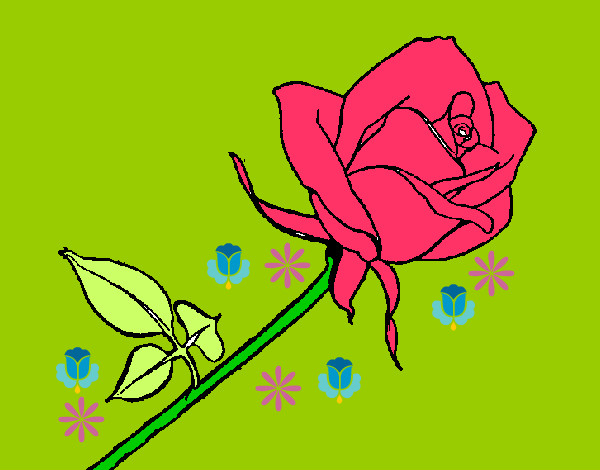 Dibuix Rosa pintat per ARNAU