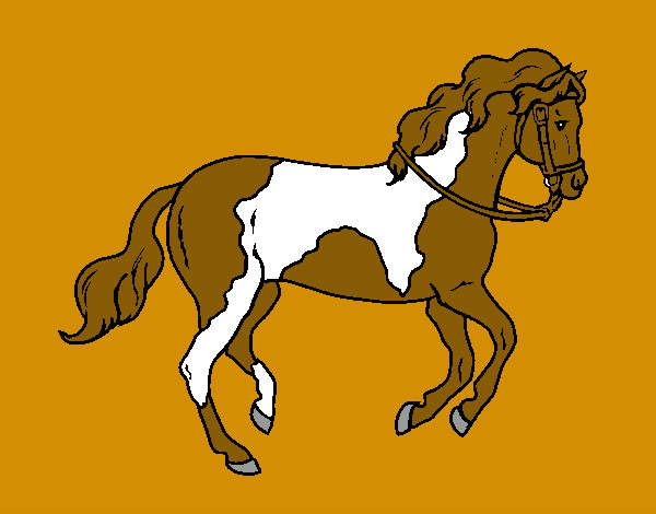 Dibuix Cavall 5 pintat per ginamandar