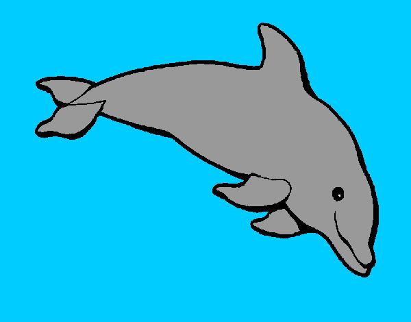 Dibuix Dofí content pintat per ginamandar