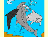 Dibuix Dofins jugant pintat per AURA2008