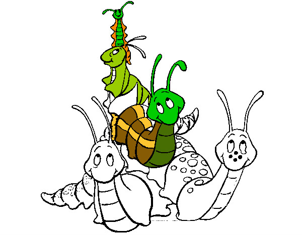 Dibuix Grup d'insectes  pintat per Rogersan