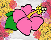Dibuix Flor de lagunaria pintat per 221900