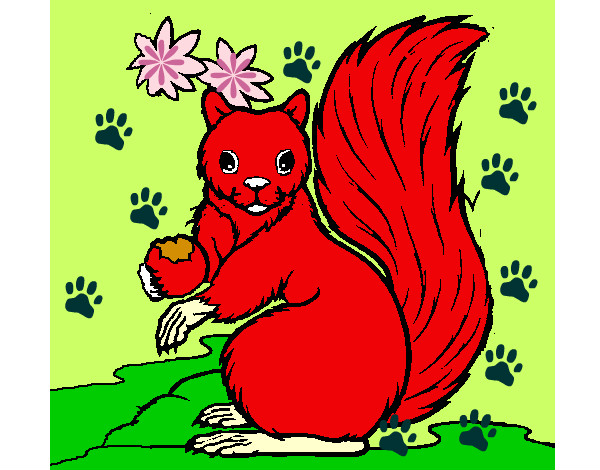 Dibuix Esquirol pintat per neskabego