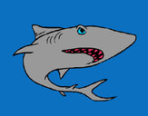 Dibuix Tiburón pintat per 130253