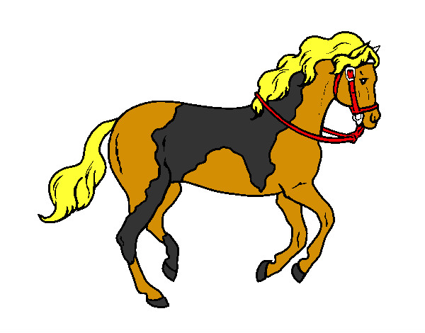 Dibuix Cavall 5 pintat per JanaQueral