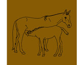 Dibuix Cavalls pintat per ALEX