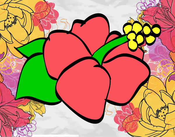 Dibuix Flor de lagunaria pintat per Bea642