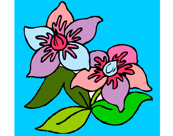 Flors 3