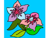Dibuix Flors 3 pintat per maria45678