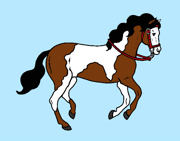 Dibuix Cavall 5 pintat per Meritxell3