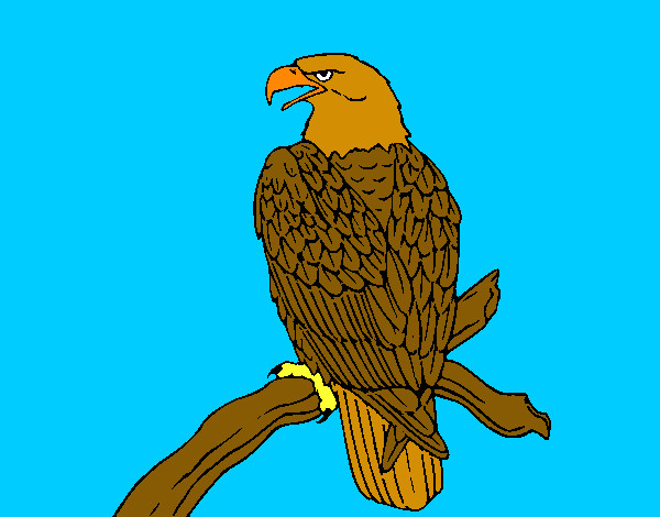 Dibuix Àguila en una branca  pintat per joangv