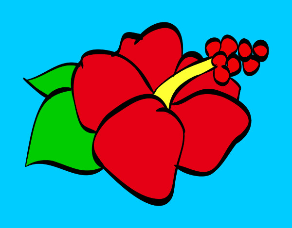 Dibuix Flor de lagunaria pintat per joangv
