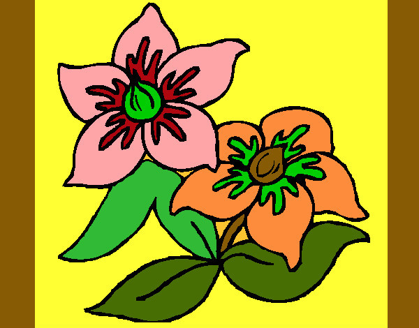Dibuix Flors 3 pintat per laura2006