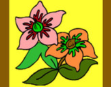 Dibuix Flors 3 pintat per laura2006