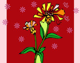 Dibuix Flors de camp pintat per laura2006