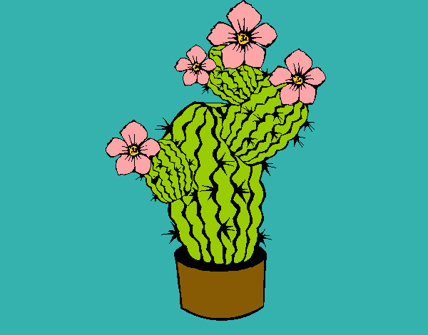 Dibuix Flors de cactus pintat per helena1123
