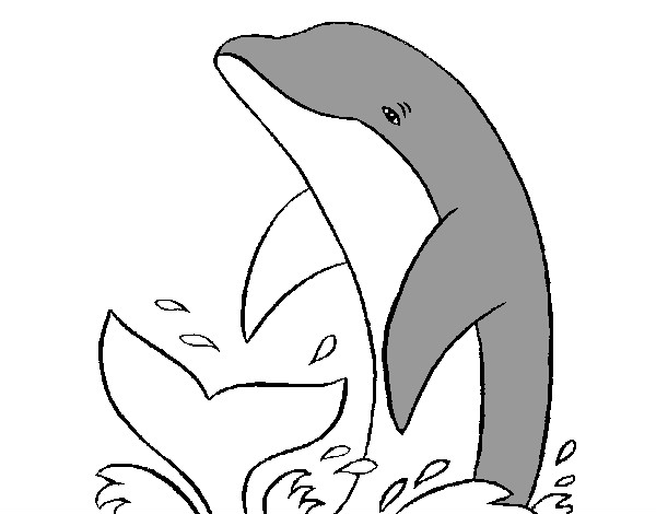Dibuix Dofí xipollejant pintat per Mfeliu