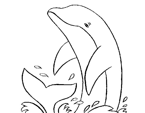 Dibuix Dofí xipollejant pintat per Mfeliu