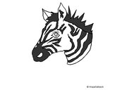 Dibuix Zebra II pintat per arnau0606