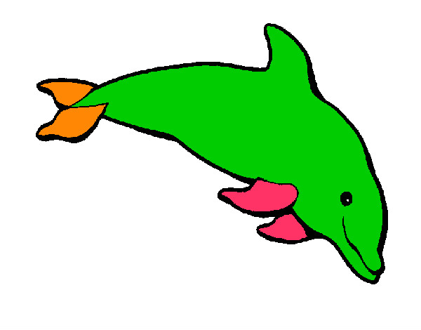 Dibuix Dofí content pintat per nuria04