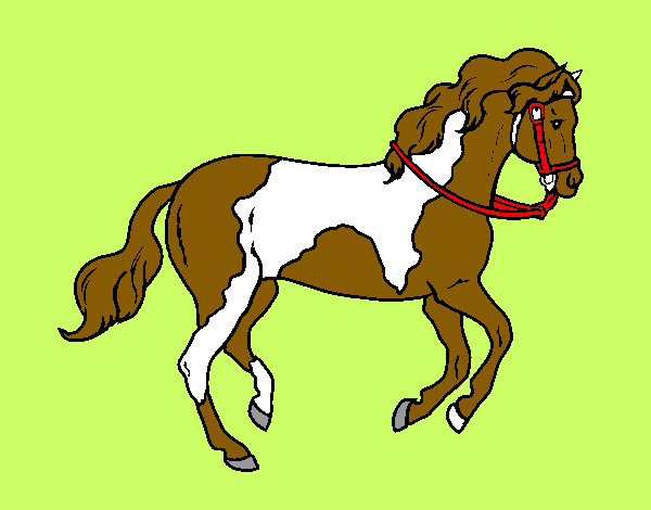 Dibuix Cavall 5 pintat per 6814
