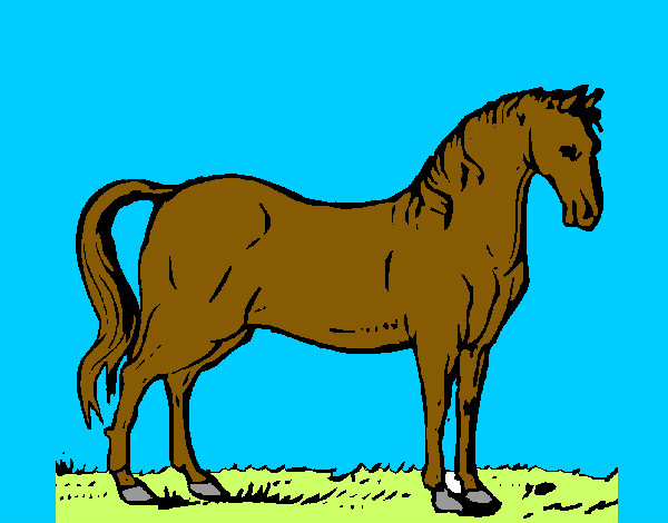 Dibuix Cavall andalús  pintat per 6814