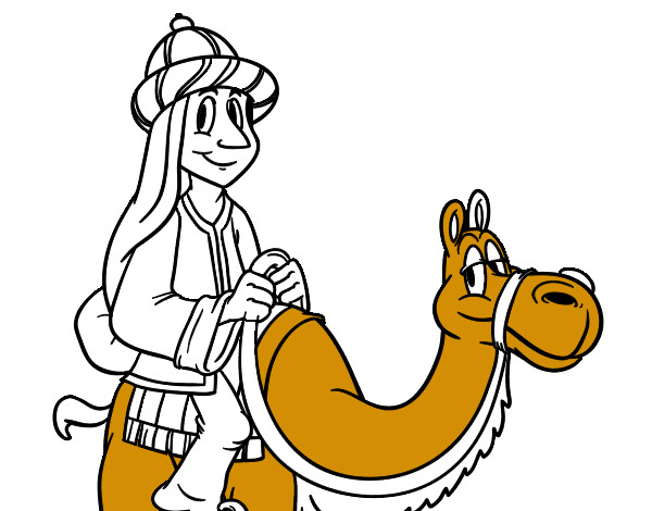 Rei Melchior a camell