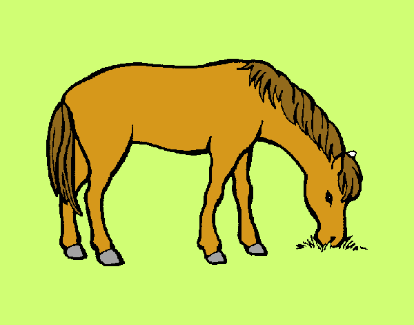 Cavall menjant