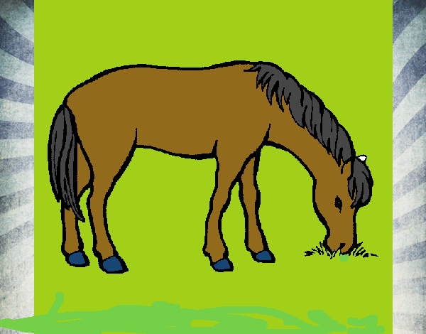Cavall menjant