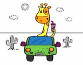 Girafa conduint