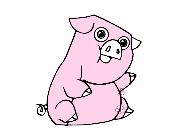 Un porc