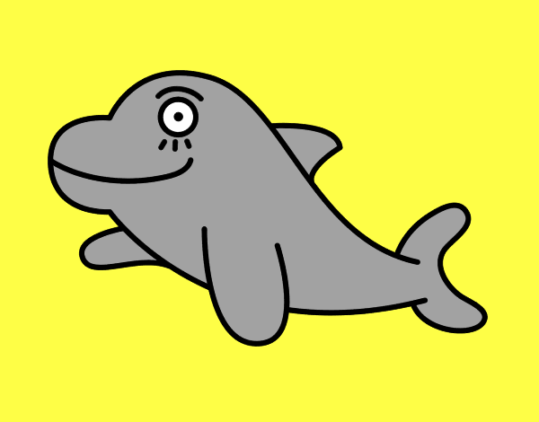 Dofí alegre