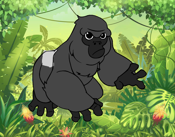 Goril·la de muntanya
