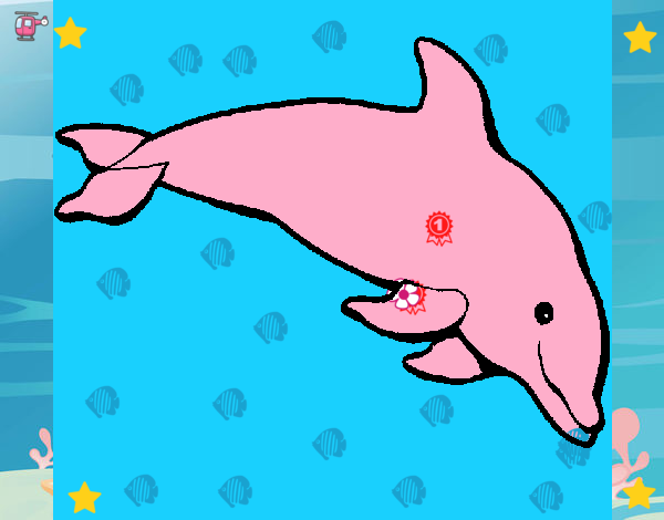 Dofí content