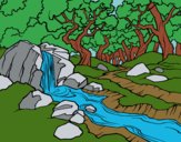 Paisatge de bosc amb un riu