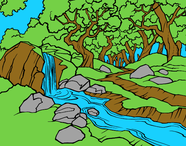 Paisatge de bosc amb un riu