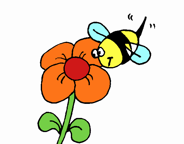 marc abella