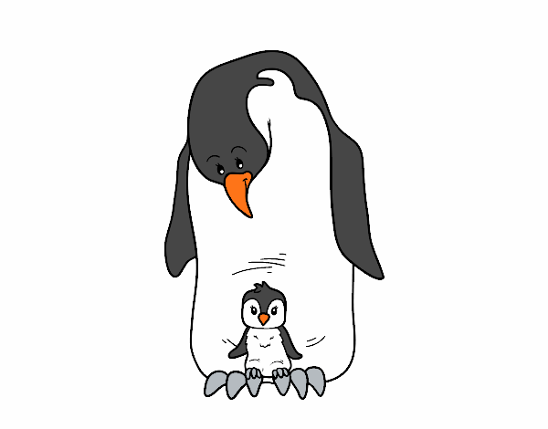  Pingüí amb la seva cria