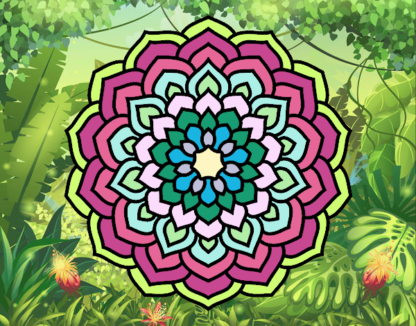 Dibuix Mandala pètals de flor pintat per mcompte4