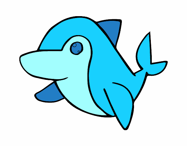 Dofí comú