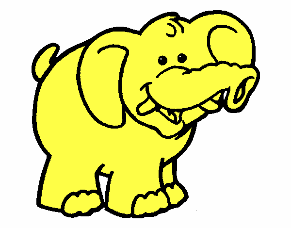 Elefant 6