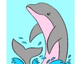 Dofí xipollejant