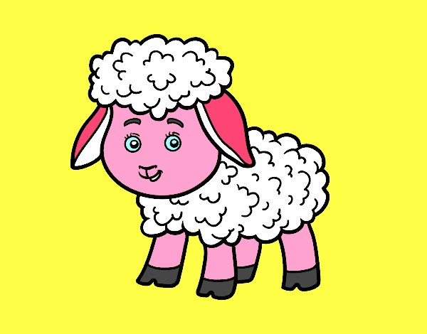 Una ovelleta