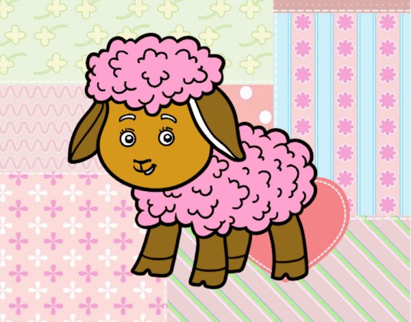 Una ovelleta