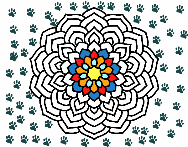 Dibuix Mandala pètals de flor pintat per papeta