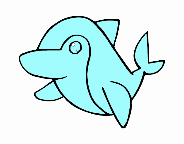 Dofí comú