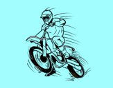 Moto de motocròs