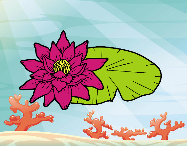 Una flor de lotus