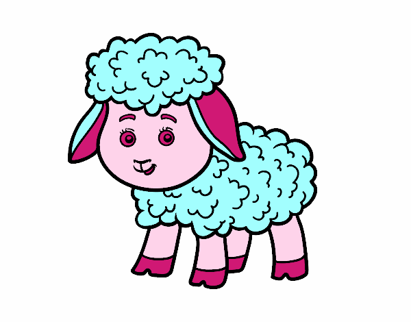 la petita ovella
